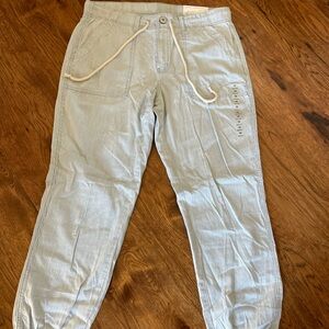 American Eagle Outfitters Light Blue jogger Pants
